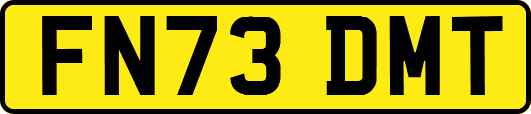 FN73DMT