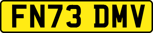 FN73DMV