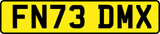 FN73DMX