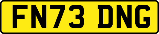 FN73DNG