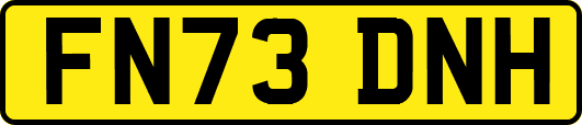 FN73DNH