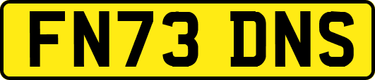 FN73DNS