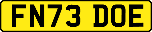 FN73DOE