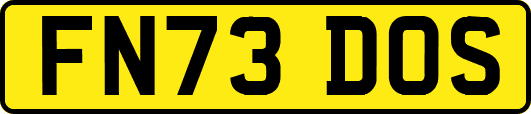 FN73DOS