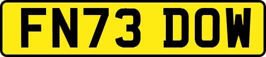 FN73DOW