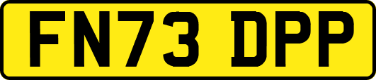FN73DPP