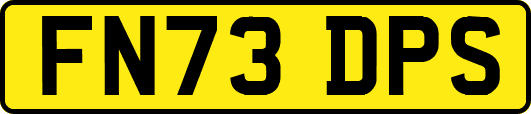 FN73DPS