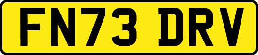 FN73DRV