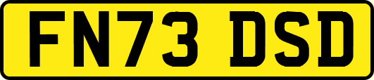 FN73DSD