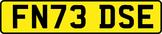 FN73DSE