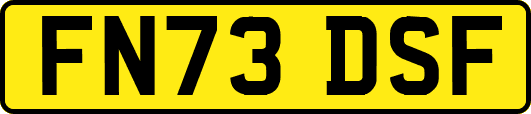 FN73DSF