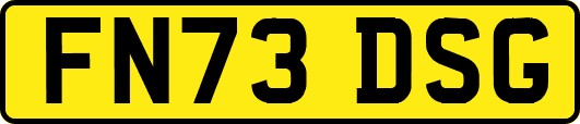 FN73DSG