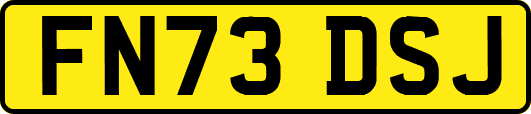 FN73DSJ