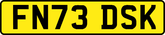 FN73DSK