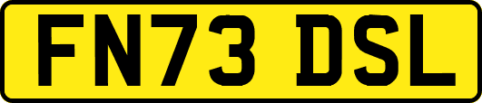 FN73DSL