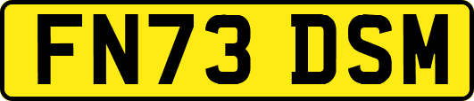 FN73DSM