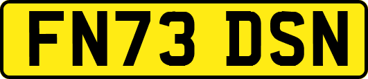 FN73DSN