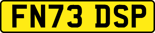 FN73DSP