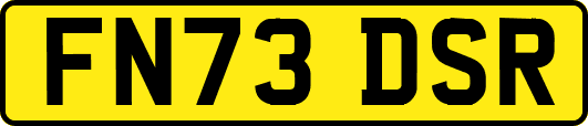 FN73DSR