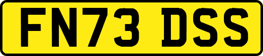 FN73DSS