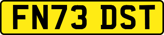 FN73DST