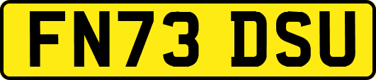 FN73DSU
