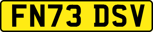 FN73DSV