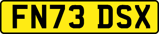 FN73DSX