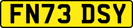 FN73DSY