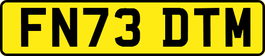 FN73DTM