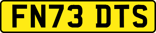 FN73DTS