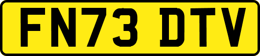 FN73DTV