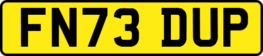 FN73DUP