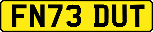 FN73DUT