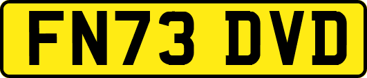 FN73DVD