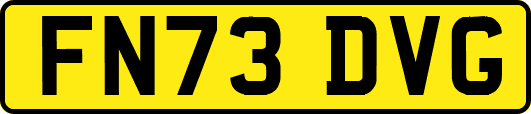 FN73DVG