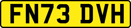 FN73DVH