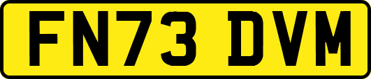 FN73DVM