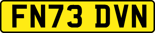 FN73DVN