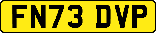 FN73DVP