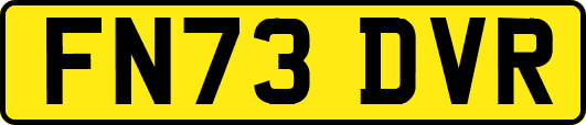 FN73DVR