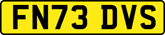 FN73DVS