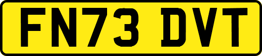 FN73DVT