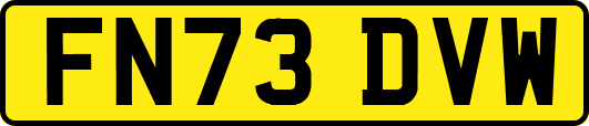 FN73DVW