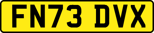FN73DVX