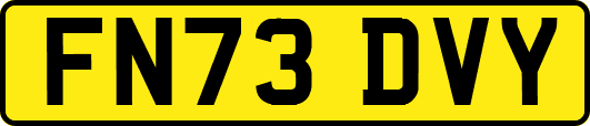 FN73DVY
