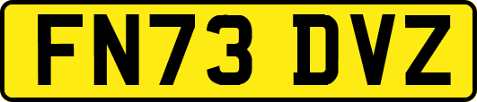 FN73DVZ
