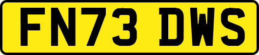 FN73DWS