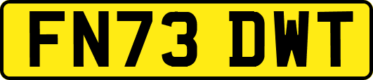 FN73DWT