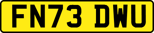 FN73DWU